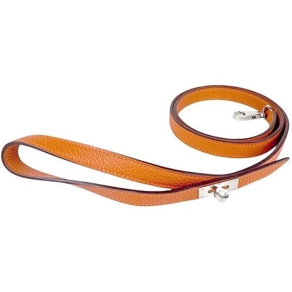 Hermes Orange Pet Collar and Leash Set - Picture 10 of 16